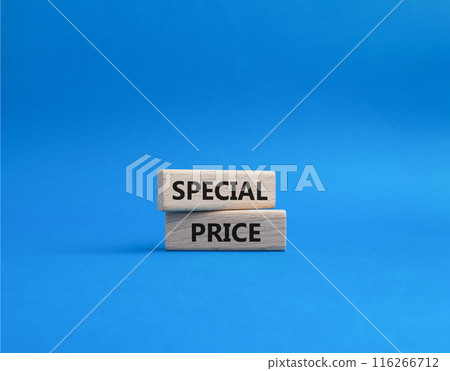 Special Price symbol. Concept word Special Price on wooden blocks. Beautiful blue background. Business and Special Price concept. Copy space Special Price symbol. Concept word Special Price on wooden blocks. Beautiful blue background. Business and Special Price concept. Copy space 116266712