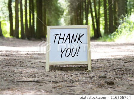 Thank you symbol. Concept word Thank you on white chalk background. Beautiful forest background. Business and Thank you concept. Copy space. Thank you symbol. Concept word Thank you on white chalk background. Beautiful forest background. Business and Thank you concept. Copy space. 116266794