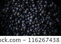 Close-Up of Fresh Blueberries 116267438