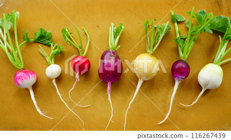 Colorful radishes Colorful radishes 116267439