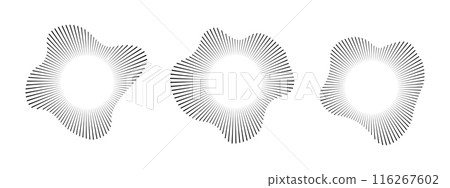 Circular sound wave . Sound lines, radial spectrum, audio equalizers. Circular geometric wavy frame. Vector illustration. 116267602