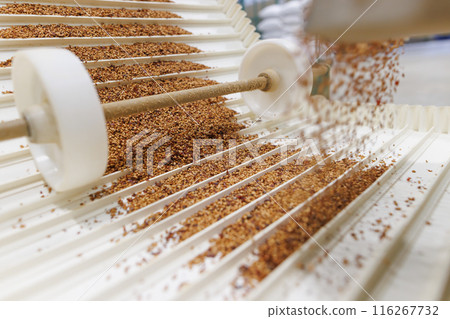 Grain sorting machine, Paddy machine sorts grains of one crop, separates grain peeling products. grain quality concept 116267732