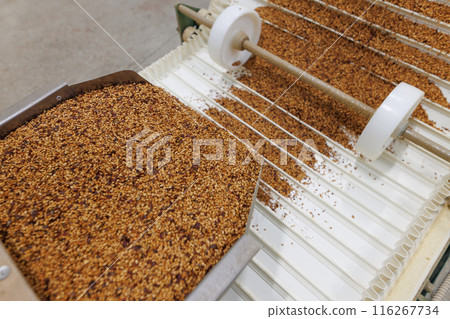 Grain sorting machine, Paddy machine sorts grains of one crop, separates grain peeling products. grain quality concept Grain sorting machine, Paddy machine sorts grains of one crop, separates grain peeling products. grain quality concept 116267734