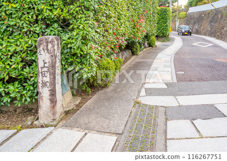 上田城、歷史長廊、奉福寺路、淨福寺之丘、延命地藏像 116267751
