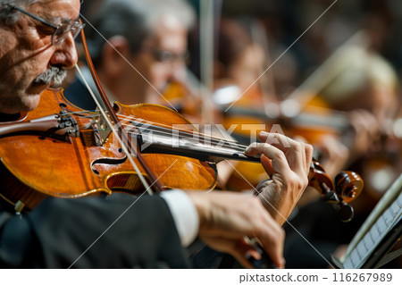 Violinists in an orchestra during a performance 116267989