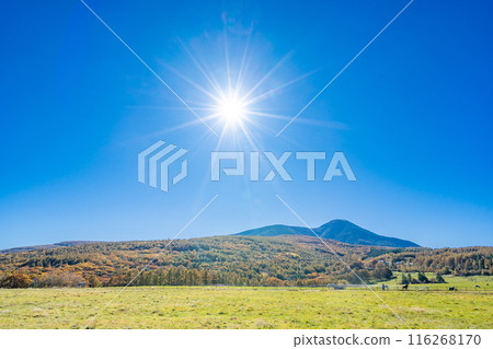 Asahinooka Park, Tateshina Cross Country Course, Shinshu Shirakaba Highlands 116268170