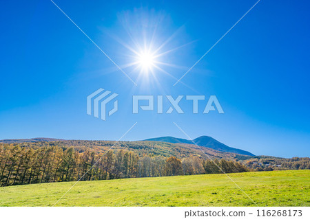 Asahinooka Park, Tateshina Cross Country Course, Shinshu Shirakaba Highlands 116268173