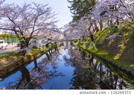 Top 100 Cherry Blossom Spots in Japan: Hirosaki Park, Aomori Top 100 Cherry Blossom Spots in Japan: Hirosaki Park, Aomori 116268333