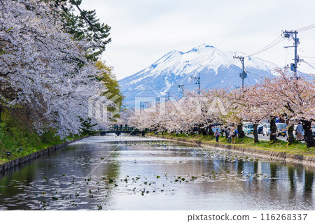 Top 100 Cherry Blossom Spots in Japan: Hirosaki Park, Aomori 116268337