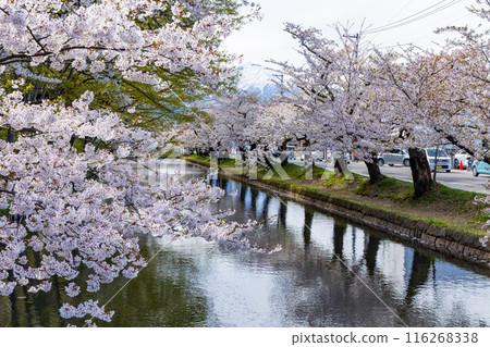 Top 100 Cherry Blossom Spots in Japan: Hirosaki Park, Aomori 116268338