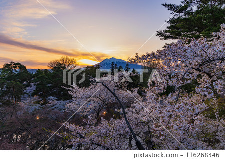 日本賞櫻勝地百選：黃昏的青森弘前公園 116268346
