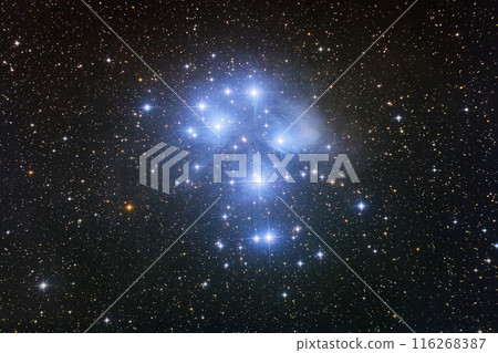 Pleiades 2019 Pleiades 2019 116268387