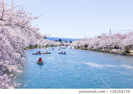日本賞櫻勝地100選：青森縣弘前公園 116268739