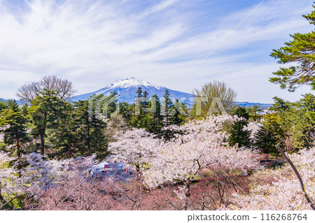 日本賞櫻勝地100選:青森縣弘前公園 日本賞櫻勝地100選:青森縣弘前公園 116268764