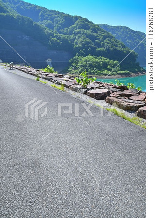 View of Futago Dam Lake from the top, Yuzawa Town 116268781