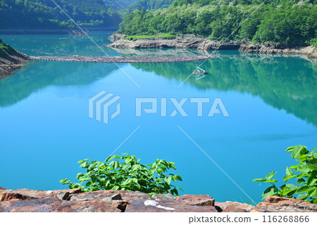 Futago Dam, emerald green Futago Dam Lake, Yuzawa Town Futago Dam, emerald green Futago Dam Lake, Yuzawa Town 116268866