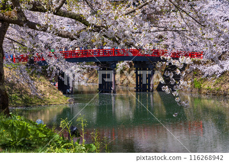 日本賞櫻勝地100選:青森縣弘前公園 日本賞櫻勝地100選:青森縣弘前公園 116268942