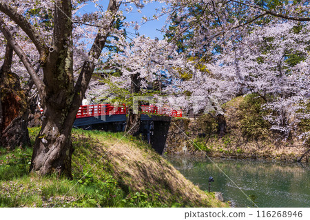 日本賞櫻勝地100選:青森縣弘前公園 日本賞櫻勝地100選:青森縣弘前公園 116268946
