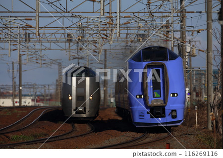 與宗谷鈴蘭一起奔跑 與宗谷鈴蘭一起奔跑 116269116