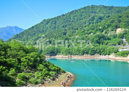 新井水壩 翡翠綠 新井水壩 湯澤湖町 116269124
