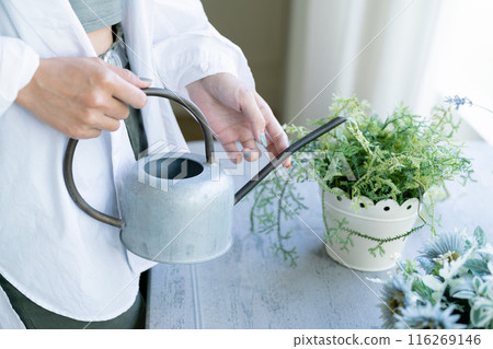 Beautiful Japanese women 116269146