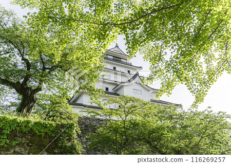 Next to Tsuruga Castle in fresh greenery Next to Tsuruga Castle in fresh greenery 116269257
