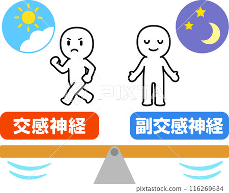Image of the balance between sympathetic and parasympathetic nerves 116269684
