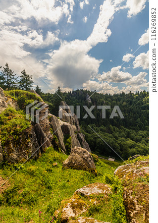 a rocks in Tustan fortress place Skole Beskids National Nature Park Lviv region 116269852