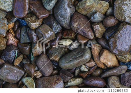 These are wet river pebbles and small round pebbles. Solid background. Top view These are wet river pebbles and small round pebbles. Solid background. Top view 116269883