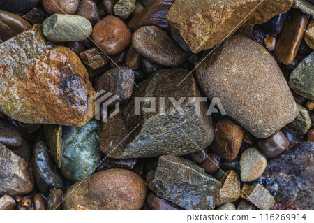 These are wet river pebbles and small round pebbles. Solid background. Top view 116269914