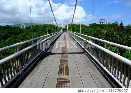 Ishigaki Island's Saint Shika Bridge Ishigaki Island's Saint Shika Bridge 116270067