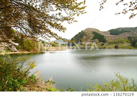 Spring in Yuda Spring in Yuda 116270129