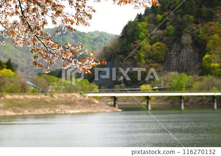 裕達之春 116270132