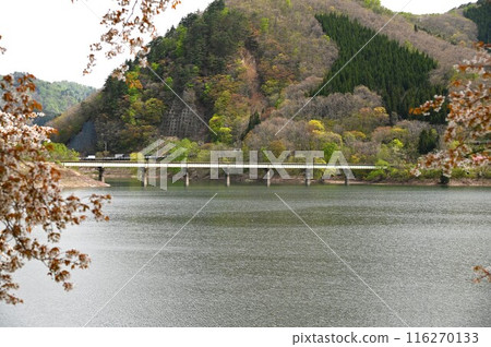 裕達之春 116270133