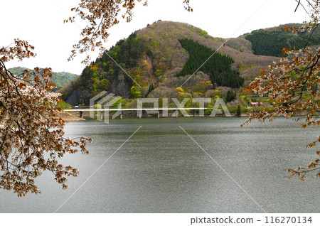 Spring in Yuda 116270134