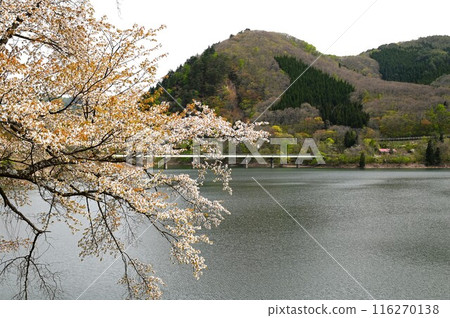 裕達之春 116270138