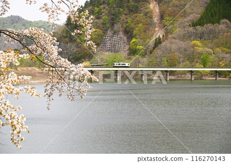 Spring in Yuda 116270143