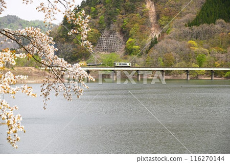 裕達之春 116270144