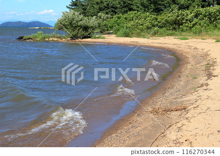 琵琶湖畔的風景 116270344