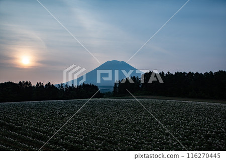 Sunrise over Mt. Yotei from Niseko 116270445