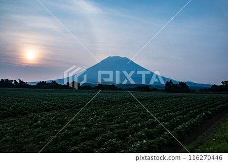 Sunrise over Mt. Yotei from Niseko 116270446