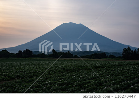 從新雪谷出發的羊蹄山日出 116270447