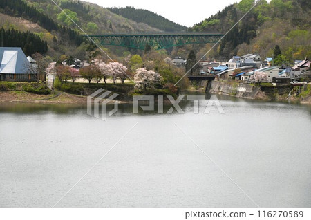 裕達之春 116270589