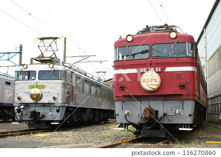 EF81型電力機車及ED76型電力機車在車輛段一字排開 116270860