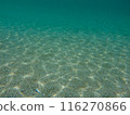 Background material: Underwater sand, sunlight and sea 116270866