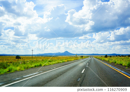 View from a car speeding along a straight road View from a car speeding along a straight road 116270909