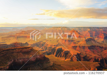 Grand Canyon in the evening 116270937