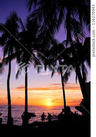 太陽下山前夕的景色 116270943