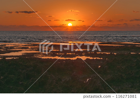 First sunrise and uplifted coral reefs of the Yakushima Alps (winter) 116271081