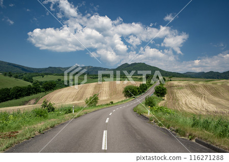 一條穿過高原牧場的道路 一條穿過高原牧場的道路 116271288